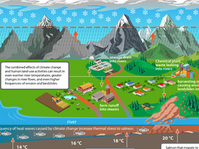 Pacific salmon infographic thumbnail